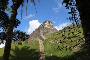 We had time to visit one of the many Mayan ruins in Belize.